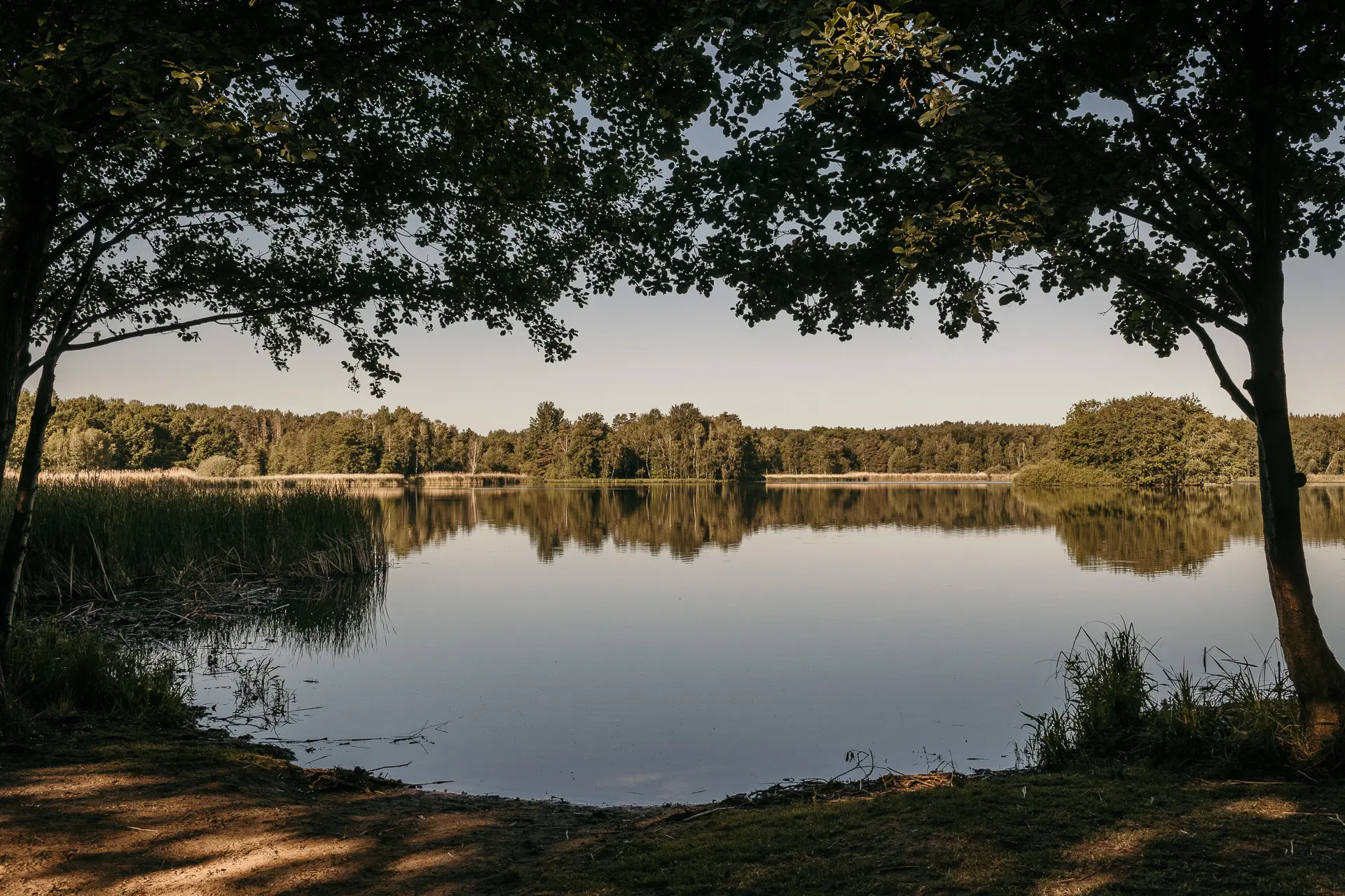 Kletterpark Moritzburg 4 Businessfotografie - Hochseilgarten Moritzburg - Blick auf den See
