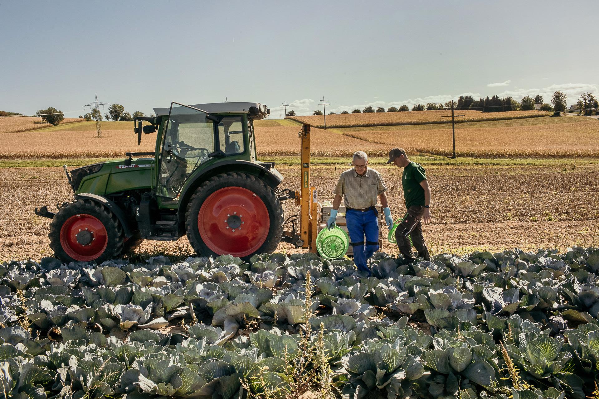 Landwirt- Obst- und Gemüseanbau 36 landwirt_018